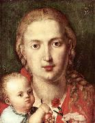 Albrecht Durer The Madonna of the Carnation painting